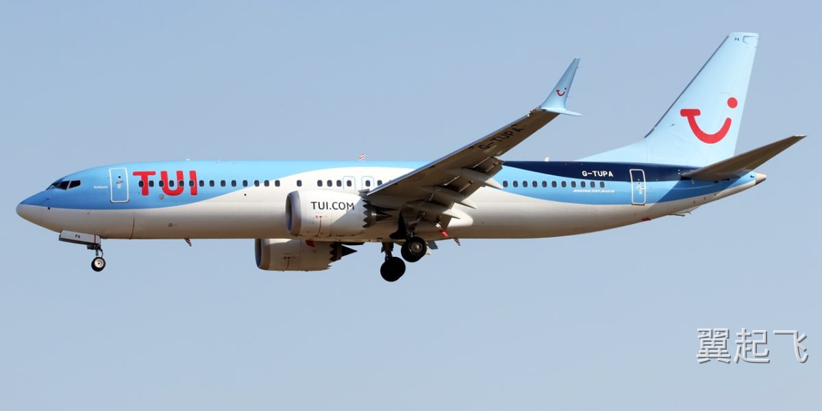 波音737 MAX 8 - 图片 6