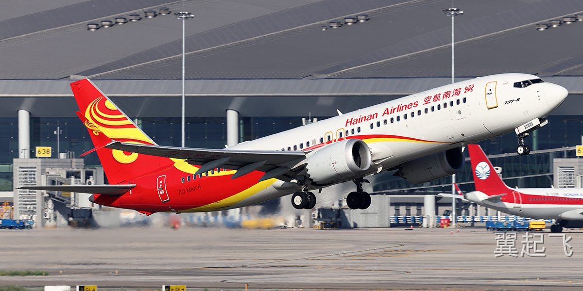 波音737 MAX 8 - 图片 3