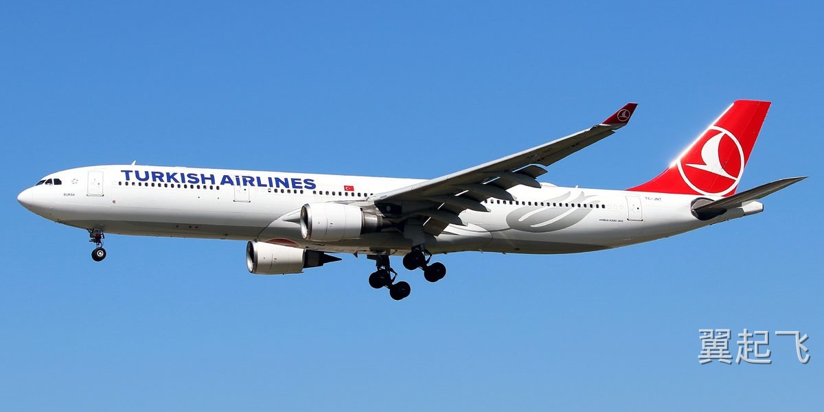 空客A330-300 - 图片 5