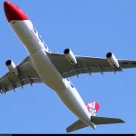 缩略图 6