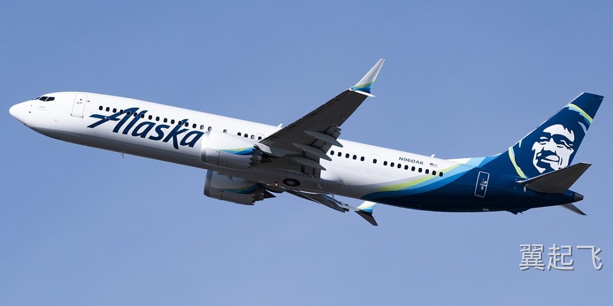 波音737 MAX 8 - 图片 1